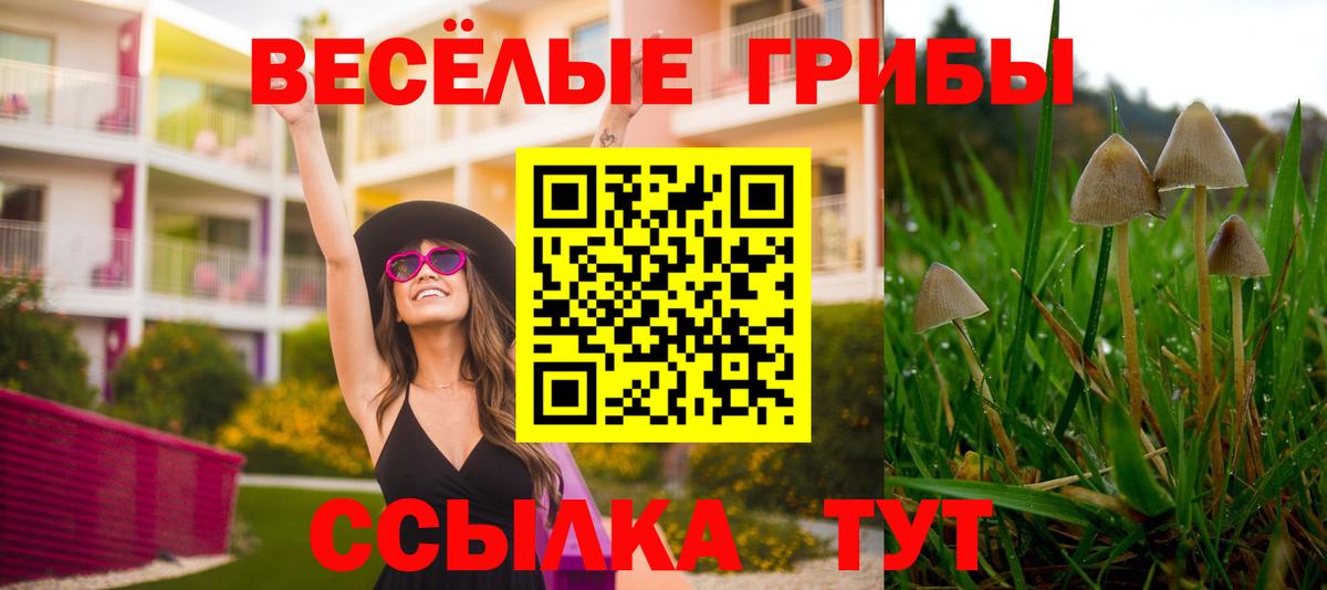 Псилоцибиновые грибы мицелий Железногорск